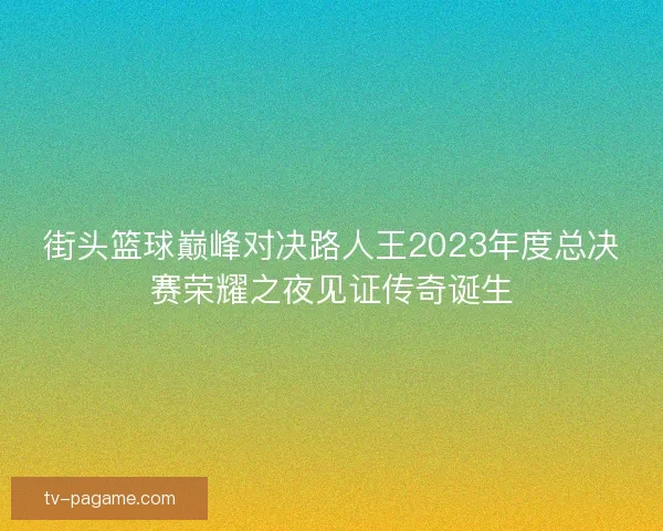 街头篮球巅峰对决路人王2023年度总决赛荣耀之夜见证传奇诞生