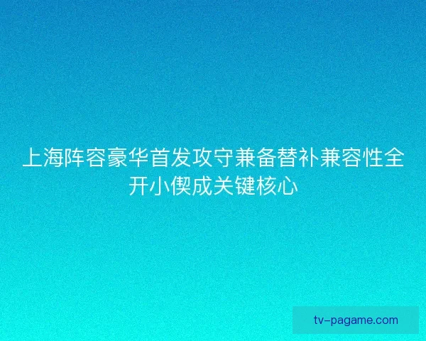 上海阵容豪华首发攻守兼备替补兼容性全开小偰成关键核心