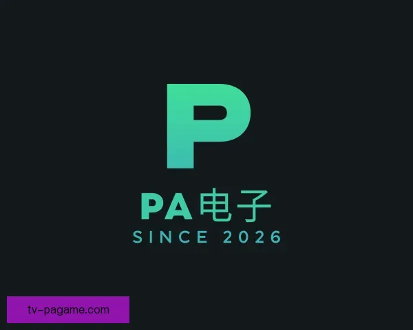 认识PA电子